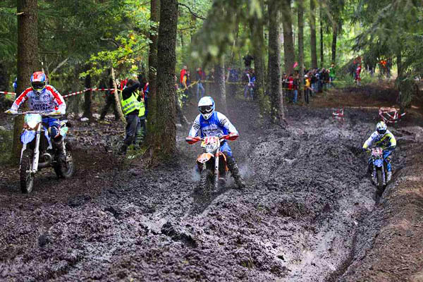 ISDE 2013: Record number of pre-entries
