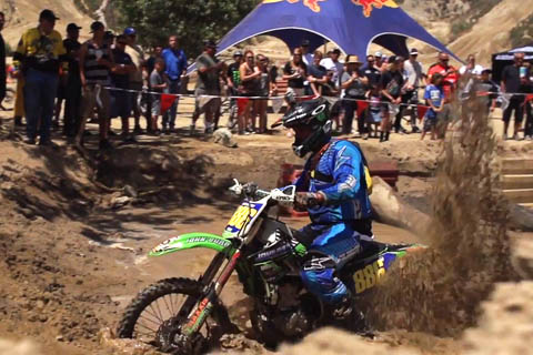 American version of Last man Standing – Last Dog Standing