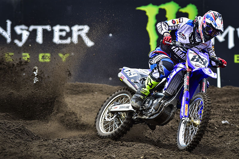 Swooping in on sunny Spain