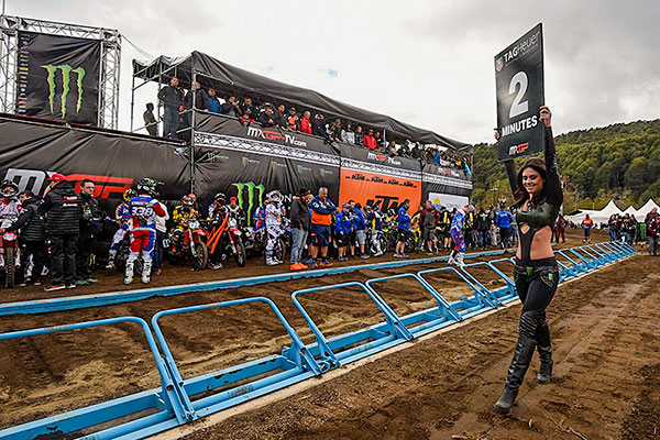 Get to know Monster Girl Danielle