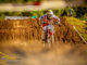 Change – European Motocross EMX65/85 and Open from Slovakia to Denmark