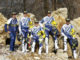 Husqvarna Enduro WC Team 2017