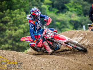 Third for Tim Gajser in Trentino MXGP Qualifications